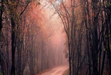 上海海港外援奥斯卡接受《环球时报》专访:中国足球要鼓励年轻球员走向欧洲环球时报.