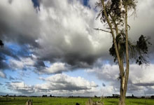 进欧冠会满意吗?瓜迪奥拉笑言:不,他们不会给我发奖金.