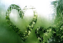 NG28官网:塔图姆28+5凯尔特人力克热火 提前锁定季后赛名额.