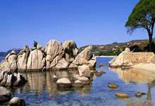 媒体人:就场面而言输一个算运气不错了,感谢王大雷.